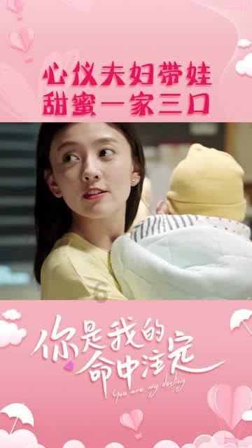 探索什么是同事?什么是队友?,畅享红迪网之趣